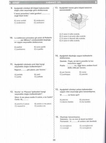 İşte SBS soruları