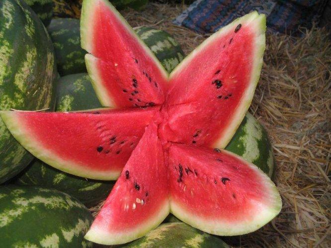 Mucize besin karpuz - Resim 5