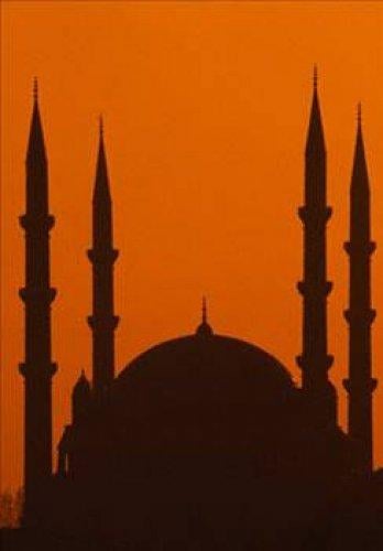 Mimar Sinan'ın sırrı - Resim 45
