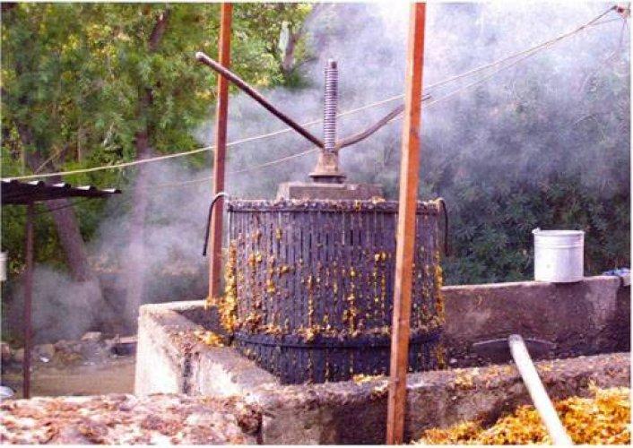 Medeniyetler Şehri Hatay