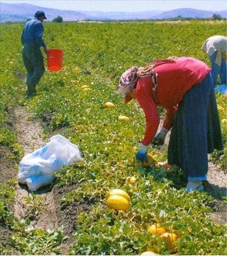 Medeniyetler Şehri Hatay