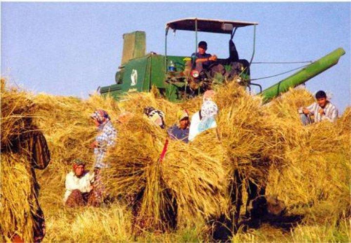 Medeniyetler Şehri Hatay