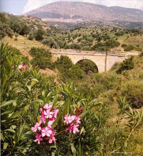Medeniyetler Şehri Hatay