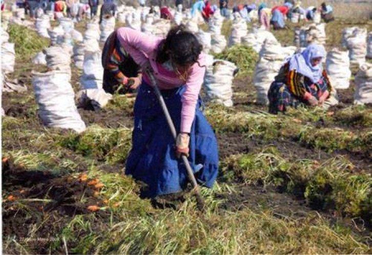 Medeniyetler Şehri Hatay