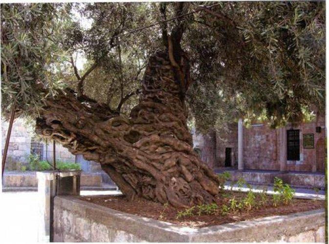 Medeniyetler Şehri Hatay