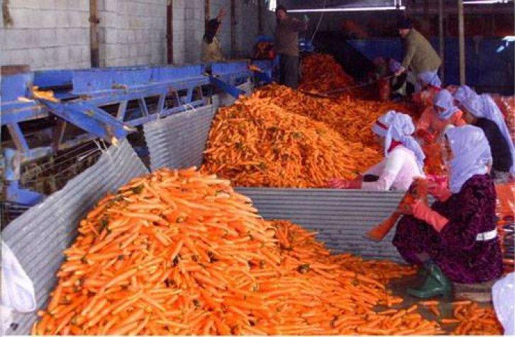 Medeniyetler Şehri Hatay