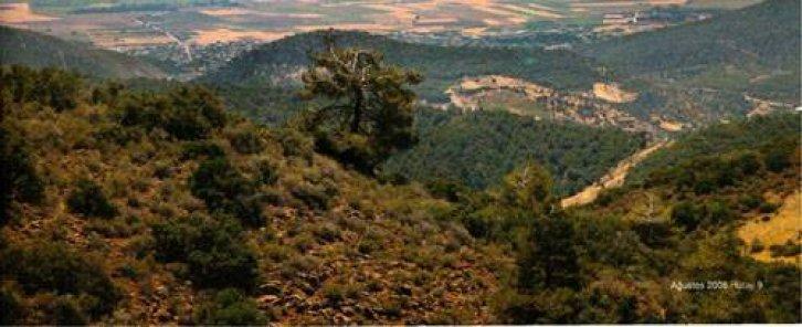 Medeniyetler Şehri Hatay