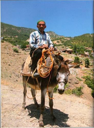 Medeniyetler Şehri Hatay