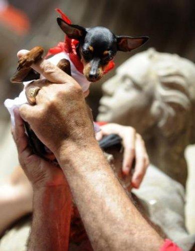 İspanya'da San Fermin Festivali Çılgın Görüntüler - Resim 66