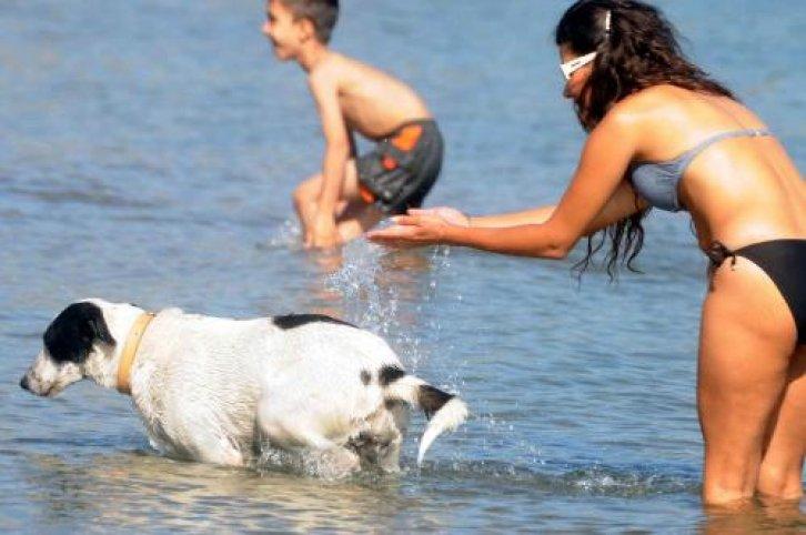 Bodrum kavruldu - Resim 18