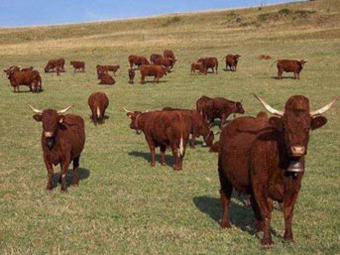 Ölümle ilgili hiç bilmedikleriniz