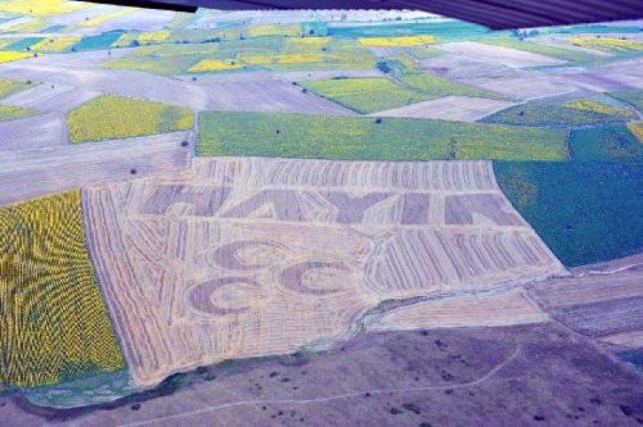 140 dönümlük hayır