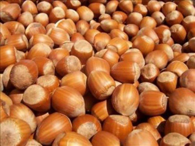 Kuruyemişin Faydaları  - Resim 7