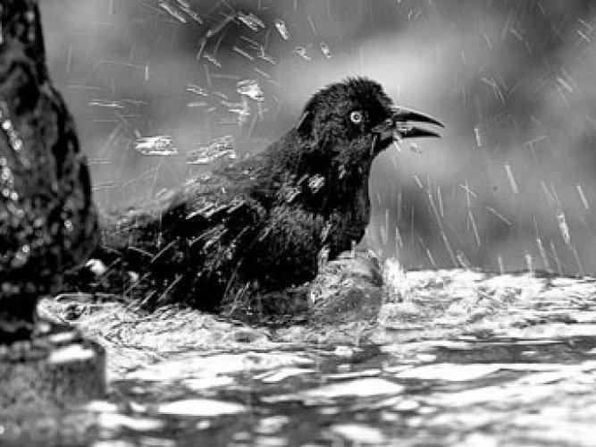 En çok merak edilen 25 soru