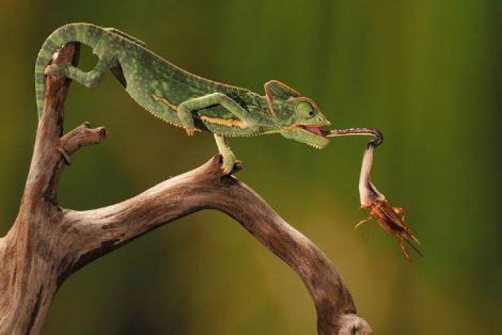 Fotoğraflarla saniyenin binde biri - Resim 10