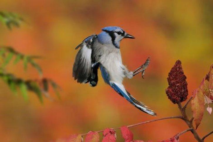 Fotoğraflarla saniyenin binde biri - Resim 5