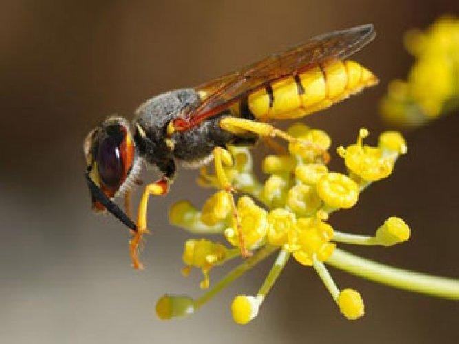 En çok merak edilen 25 soru
