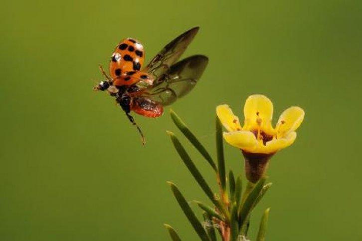 Fotoğraflarla saniyenin binde biri - Resim 8