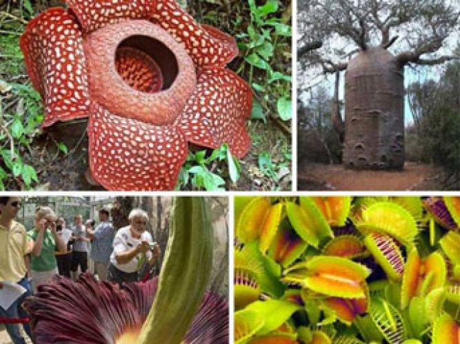 En çok merak edilen 25 soru