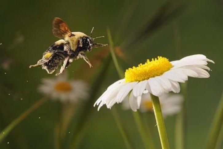 Fotoğraflarla saniyenin binde biri - Resim 4