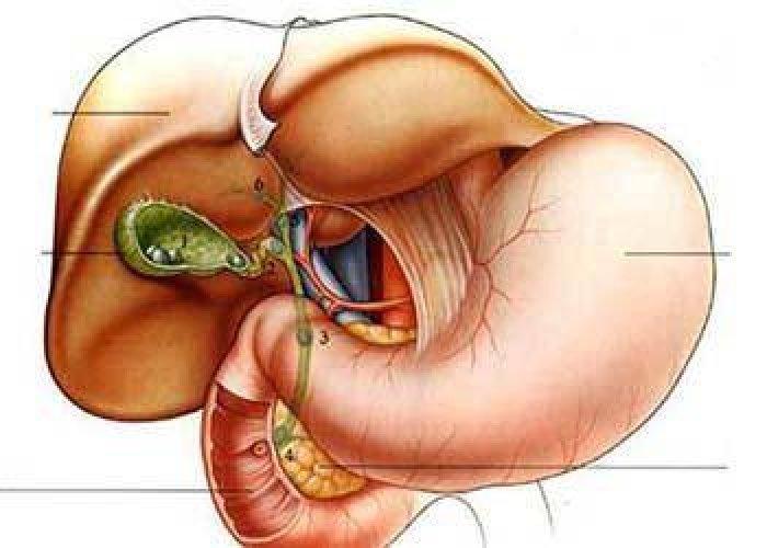 Erkek ve kadın arasındaki 50 temel fark