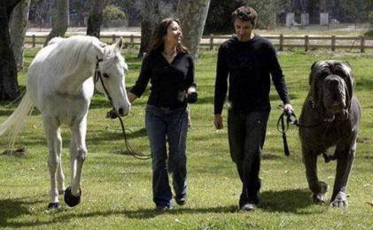Dünya'nın enleri - Resim 3