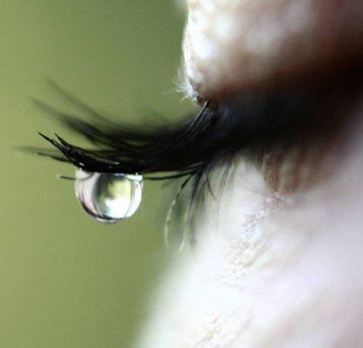 Erkek ve kadın arasındaki 50 temel fark