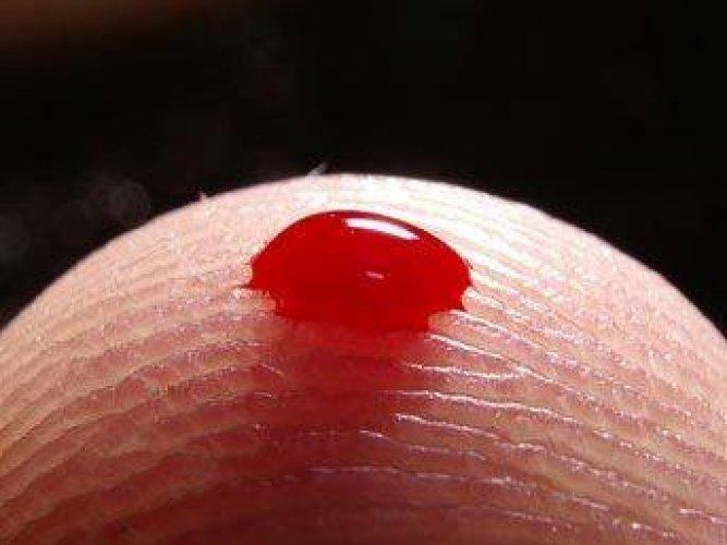 Erkek ve kadın arasındaki 50 temel fark