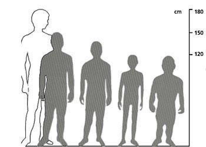 Erkek ve kadın arasındaki 50 temel fark