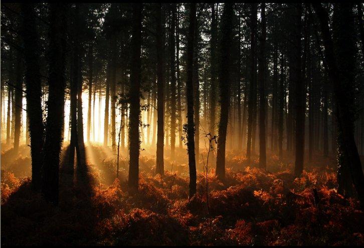 Dünyanın en güzel 506 fotoğrafı
