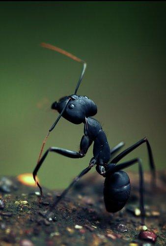 Dünyanın en güzel 506 fotoğrafı