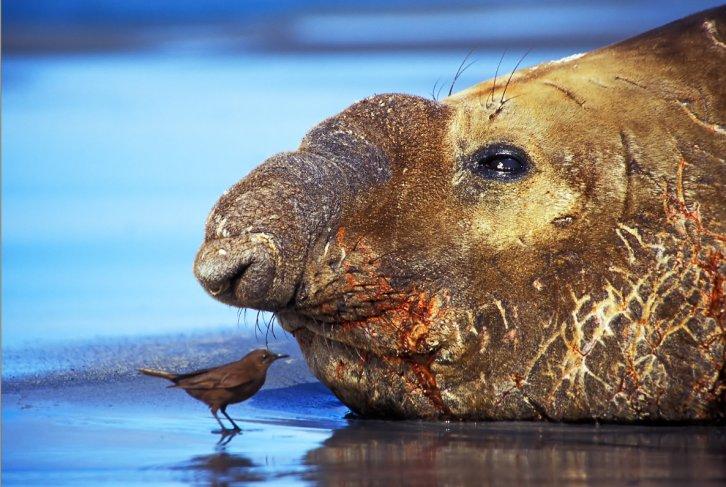 Dünyanın en güzel 506 fotoğrafı