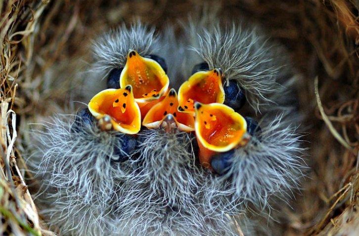 Dünyanın en güzel 506 fotoğrafı