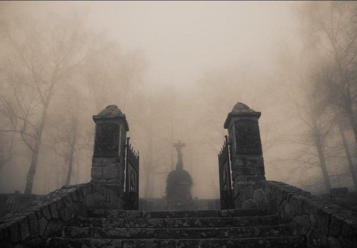 Dünyanın en güzel 506 fotoğrafı