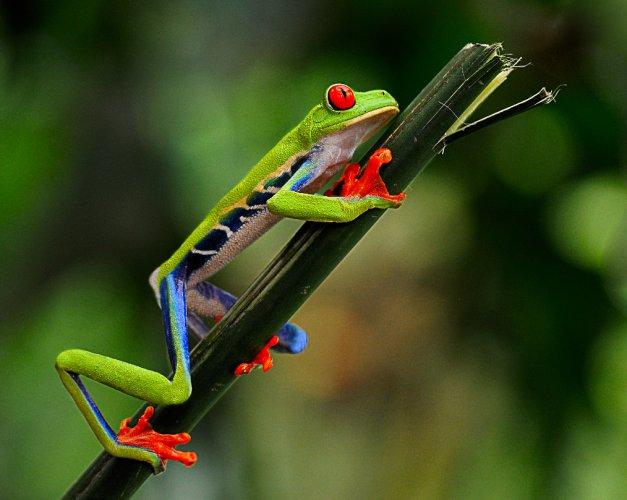 Dünyanın en güzel 506 fotoğrafı