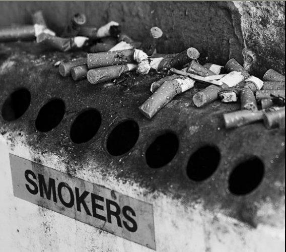 Dünyanın en güzel 506 fotoğrafı