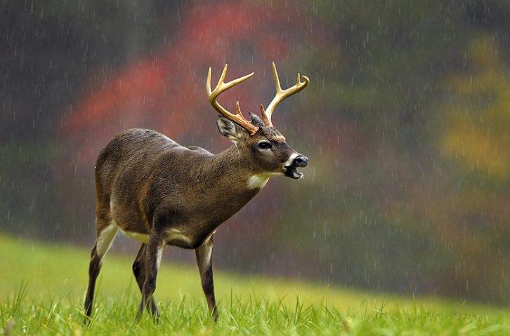 Dünyanın en güzel 506 fotoğrafı