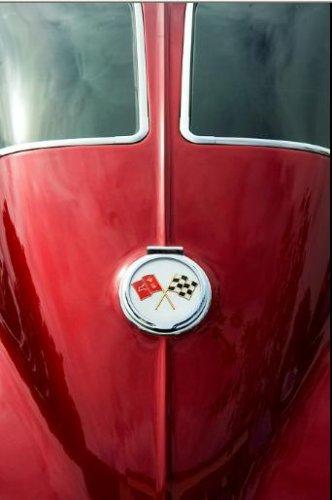 Dünyanın en güzel 506 fotoğrafı