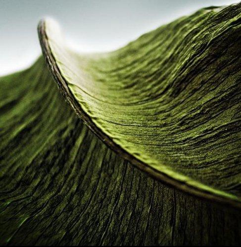 Dünyanın en güzel 506 fotoğrafı