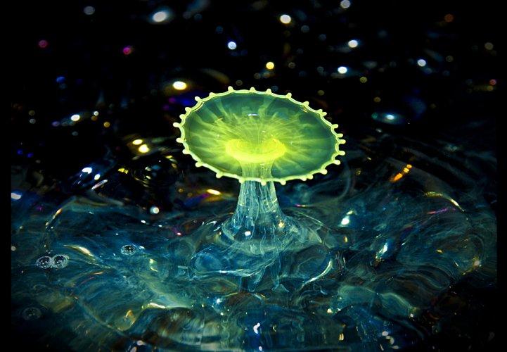 Dünyanın en güzel 506 fotoğrafı