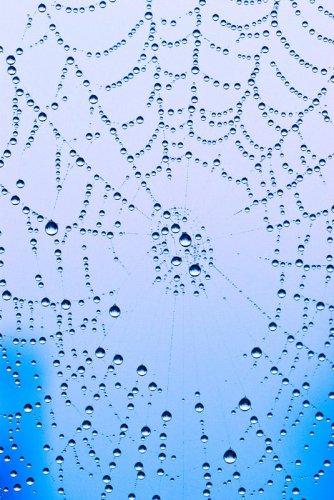 Dünyanın en güzel 506 fotoğrafı