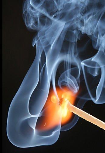 Dünyanın en güzel 506 fotoğrafı