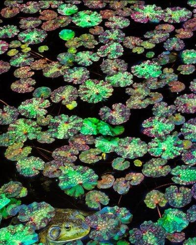 Dünyanın en güzel 506 fotoğrafı