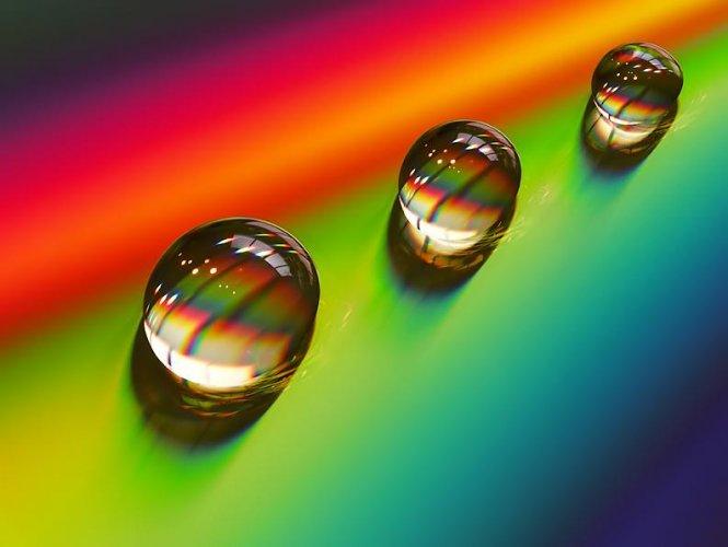 Dünyanın en güzel 506 fotoğrafı