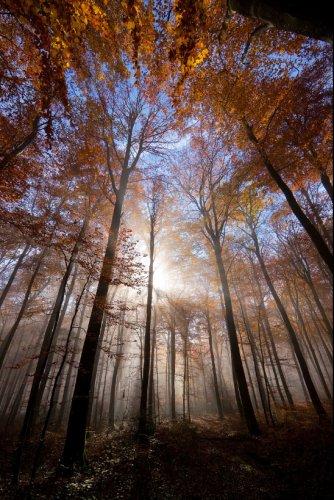 Dünyanın en güzel 506 fotoğrafı