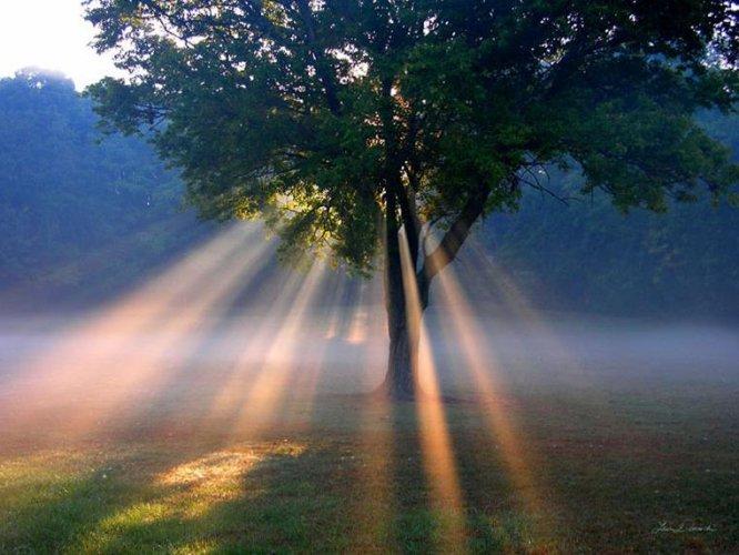 Dünyanın en güzel 506 fotoğrafı