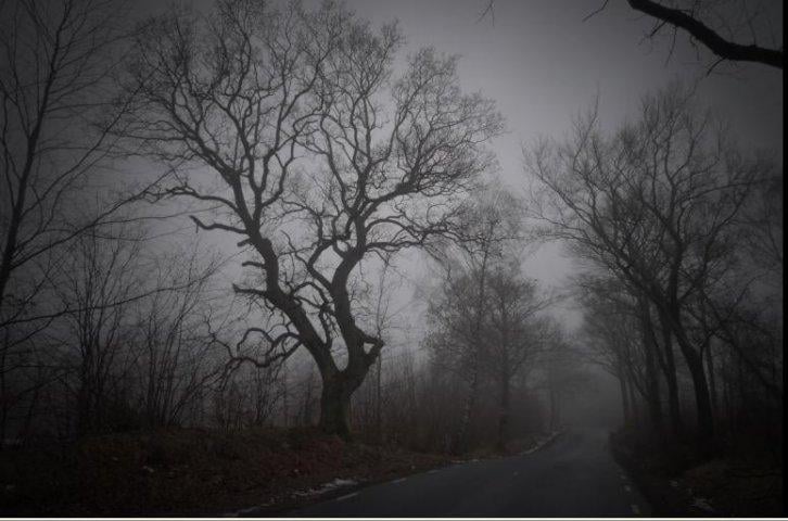 Dünyanın en güzel 506 fotoğrafı