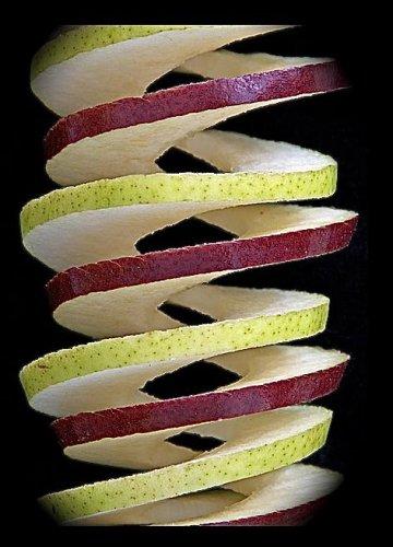 Dünyanın en güzel 506 fotoğrafı