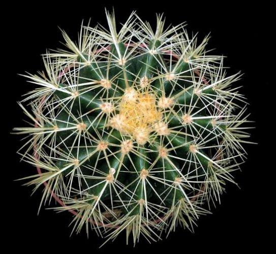 Dünyanın en güzel 506 fotoğrafı