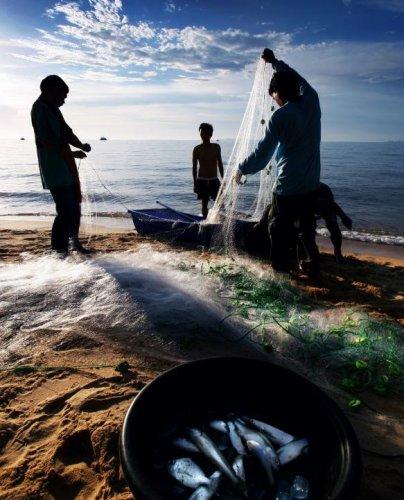 Dünyanın en güzel 506 fotoğrafı